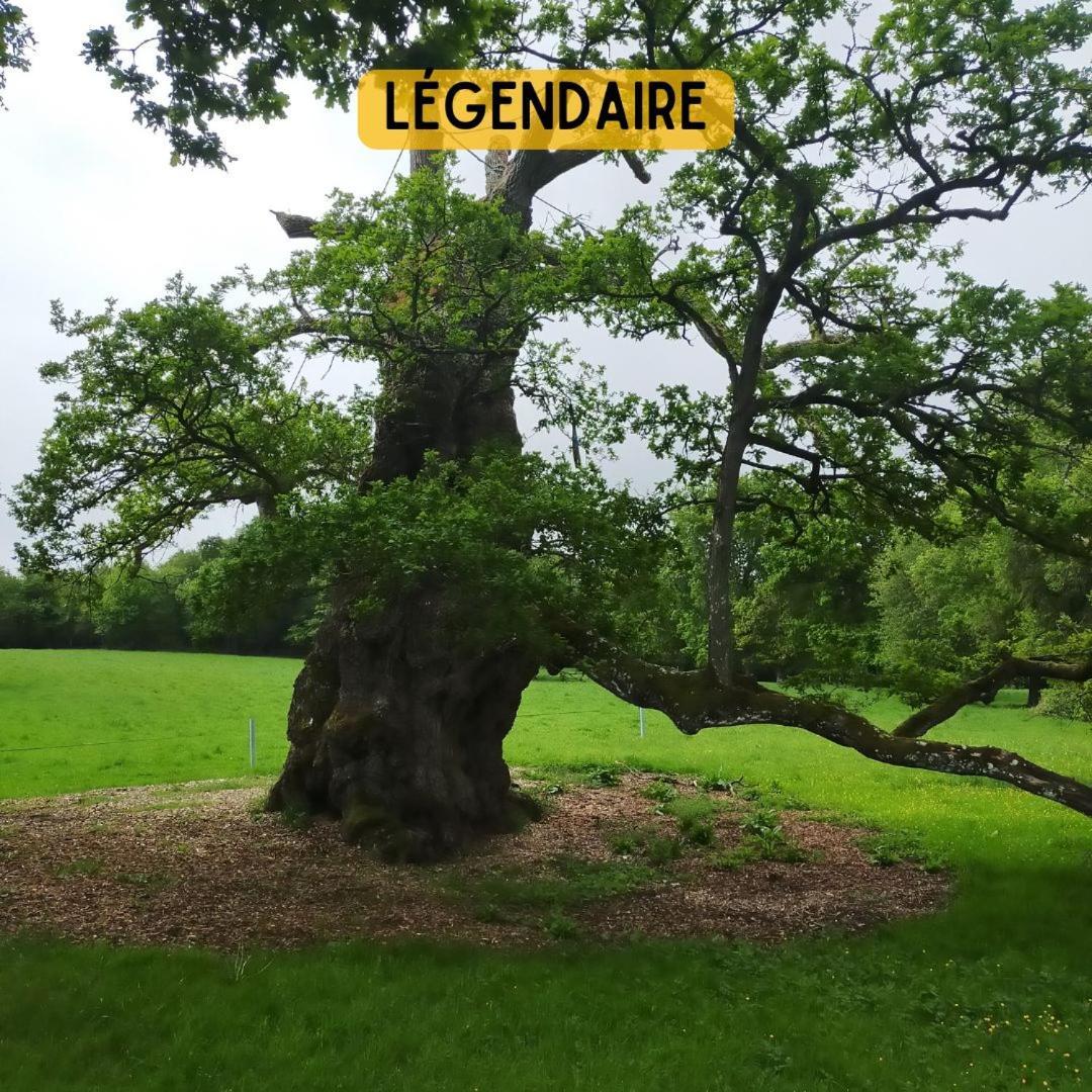 Camping Le Val Aux Fees - Broceliande Concoret 外观 照片